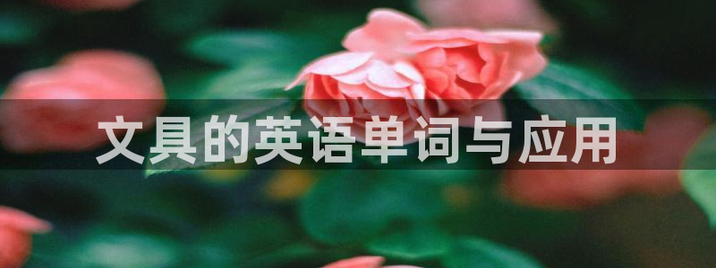 彩名堂移动客户端是什么