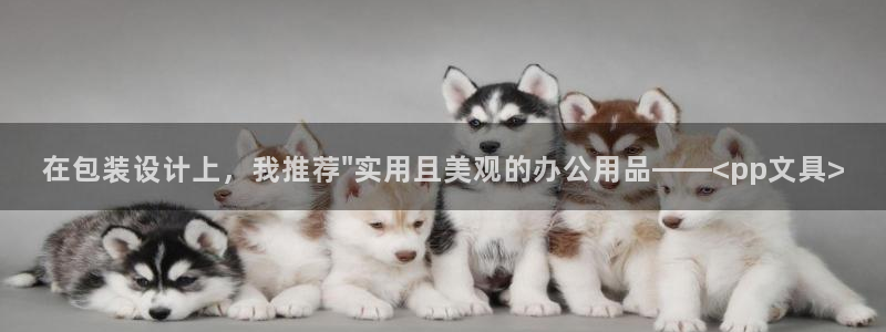 彩名堂免费计划官网购彩计划