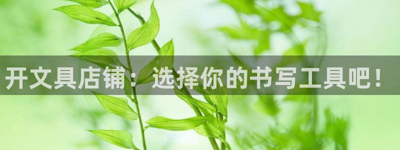 彩名堂最新计划app下载：开文具店铺：选