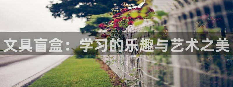 彩名堂怎么跟计划才不连挂