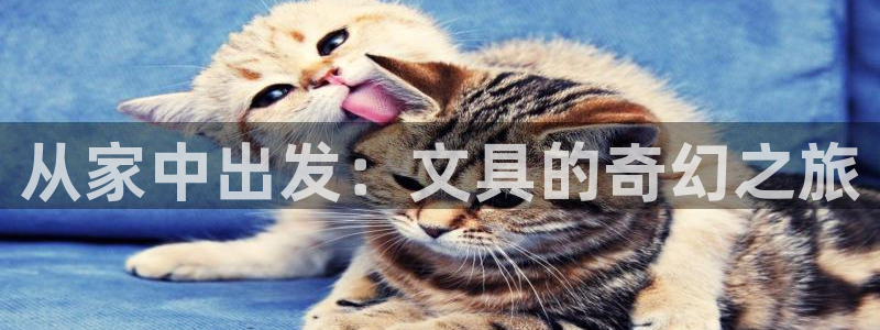 彩名堂和01计划哪个好：从家中出发：文具