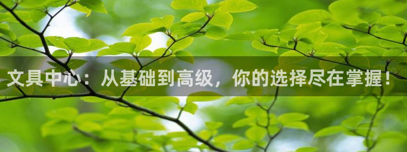 彩名堂计划软件下载：文具中心：从基础到高
