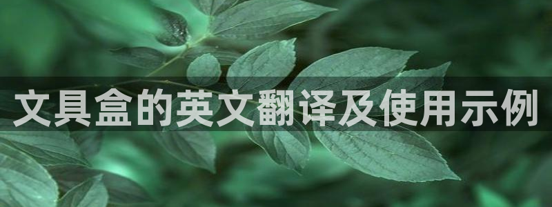 彩名堂图片：文具盒的英文翻译及使用示例