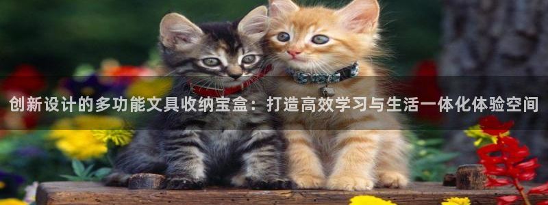 下载彩名堂预测计划软件安装