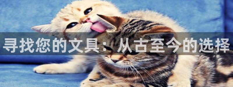 彩名堂一直不出结果怎么回事呢：寻找您的文