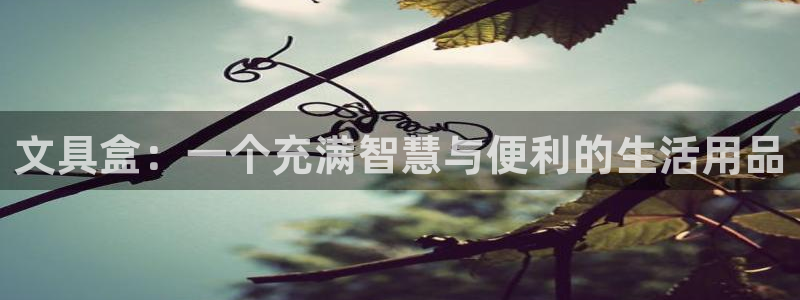 彩名堂计划官网客户端