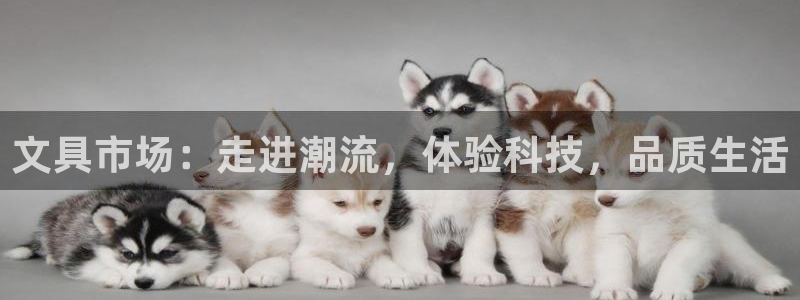 谁知道彩名堂网站是多少