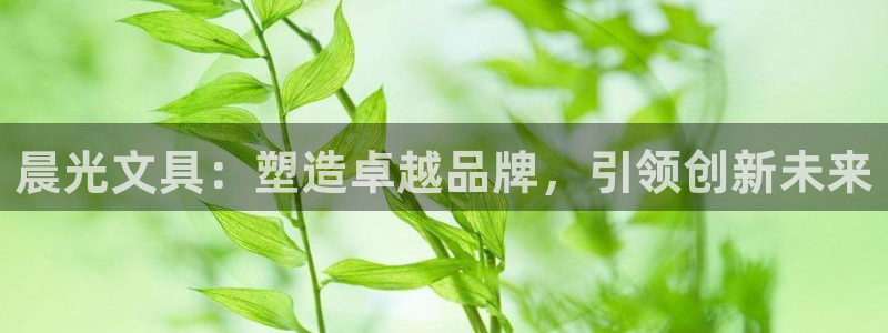 如何进入彩名堂官网更新