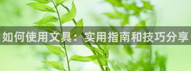 彩名堂免费计划亮点