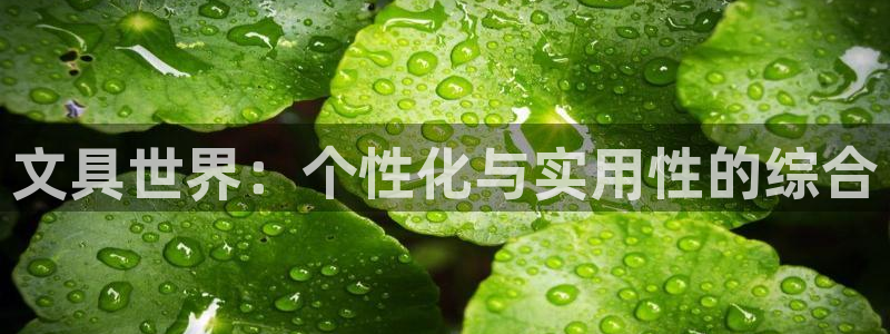 彩名堂免费计划客户端官网：文具世界：个性