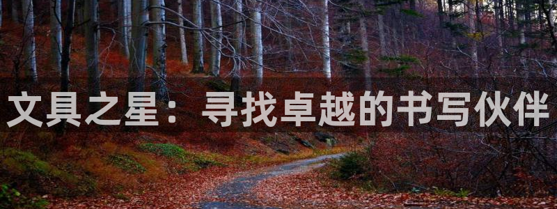 彩名堂好用还是千里马好用：文具之星：寻找