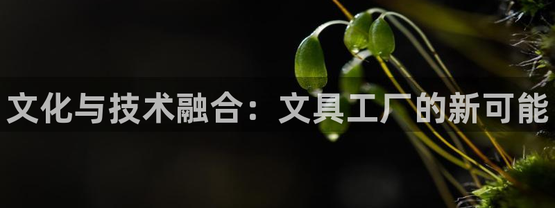 彩名堂怎么不能用了：文化与技术融合：文具