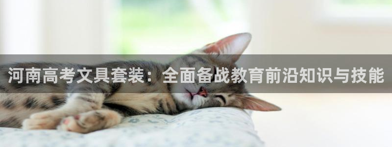 彩名堂人工计划怎么找不到下载了?：河南高