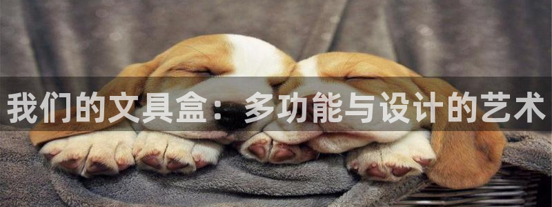 彩名堂975新版本：我们的文具盒：多功能