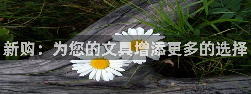 彩名堂加拿大怎么买准确率高：新购：为您的