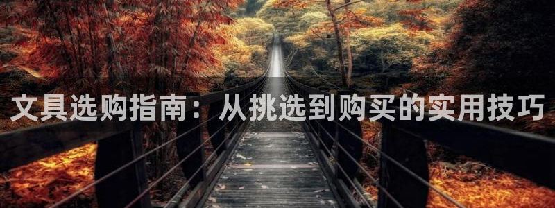 彩名堂移动客户端：文具选购指南：从挑选到