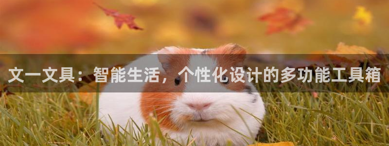 彩名堂预测软件与分析软件区别：文一文具：