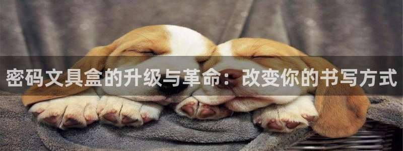 彩名堂怎么不能用了：密码文具盒的升级与革