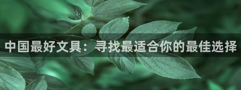 彩名堂官网在线计划