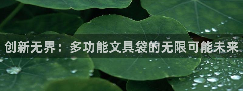 彩名堂最新免费计划官网：创新无界：多功能
