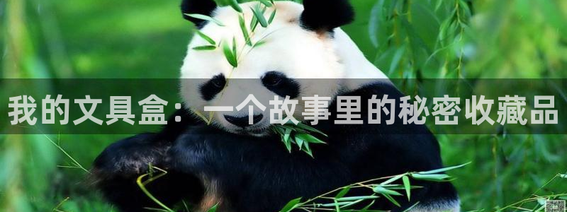 彩名堂免费计划官网5.0app：我的文具