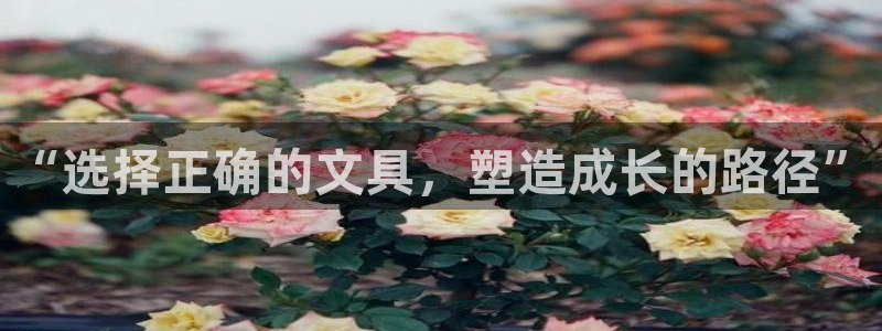 彩名堂的拼音：“选择正确的文具，塑造成长