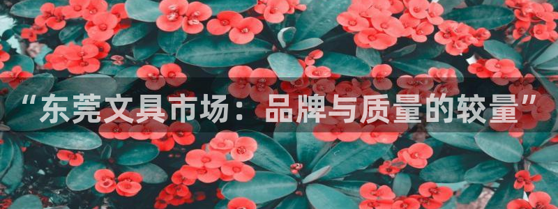 彩名堂手机客户端怎么下载：“东莞文具市场