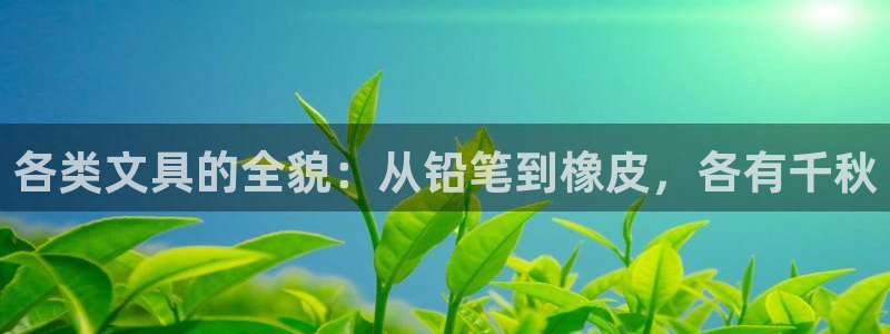 彩名堂一直不出结果怎么回事呢：各类文具的