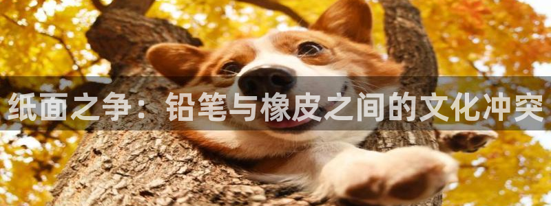 彩名堂客户端官网：纸面之争：铅笔与橡皮之