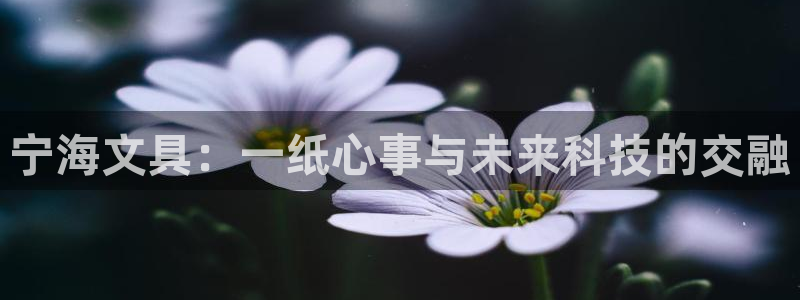 彩名堂计划真的准吗：宁海文具：一纸心事与