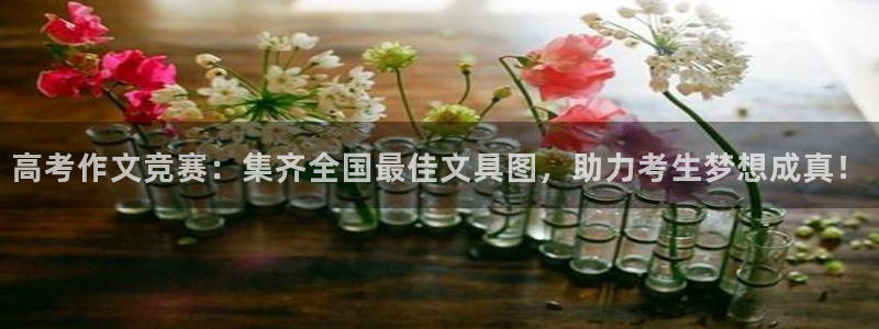 彩名堂旧版本：高考作文竞赛：集齐全国最佳