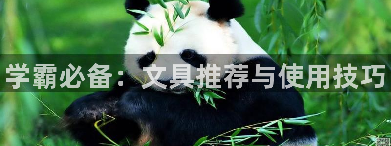 彩名堂计划官方客服：学霸必备：文具推荐与