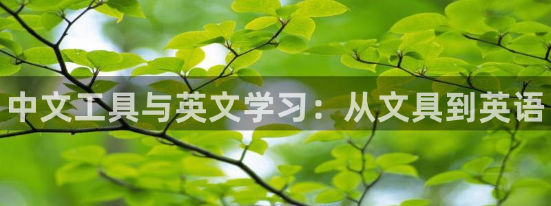 彩名堂还能用吗：中文工具与英文学习：从文