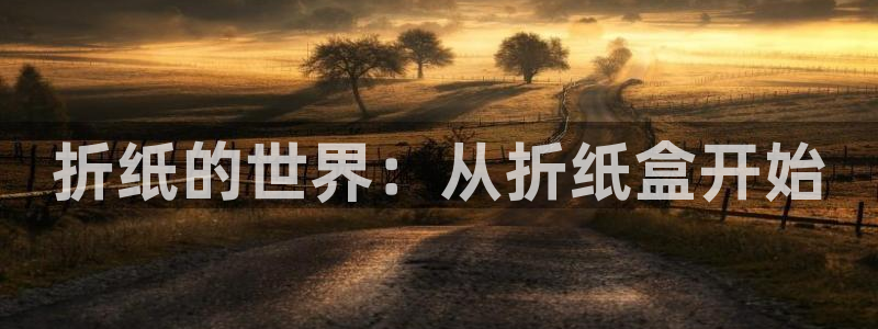 彩名堂免费计划官网老版本：折纸的世界：从