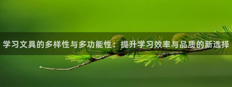 彩名堂拼音怎么拼：学习文具的多样性与多功