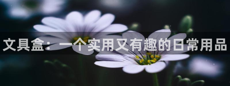 彩名堂官网计划01：文具盒：一个实用又有