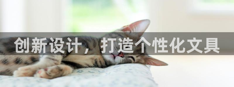 彩名堂app官方下载：创新设计，打造个性