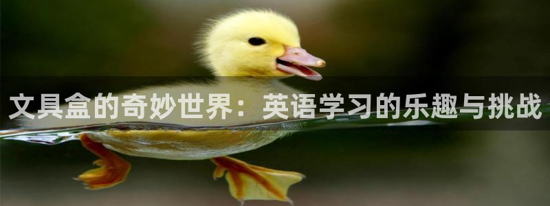 彩名堂官网在线计划怎么不更新了：文具盒的