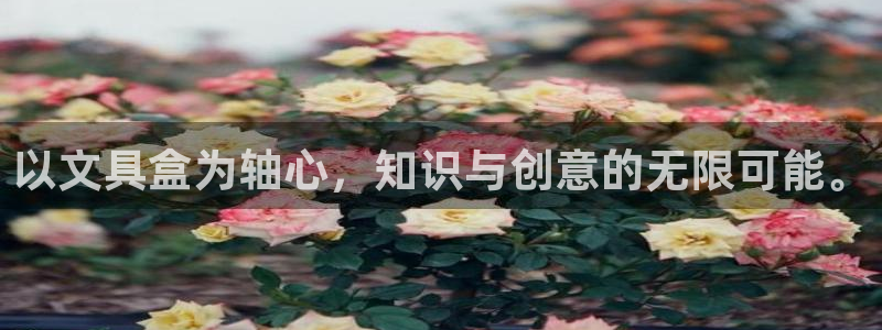 彩名堂手机客户端怎么进不去了：以文具盒为