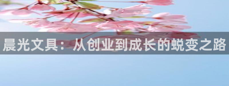 彩名堂和01计划哪个好：晨光文具：从创业