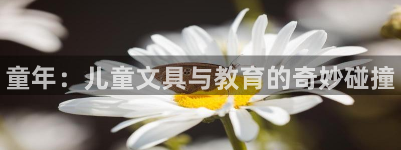 彩名堂怎么打不开了：童年：儿童文具与教育