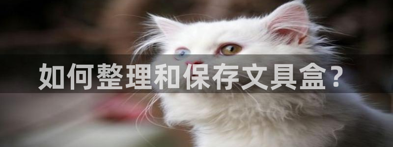 彩名堂3d：如何整理和保存文具盒？