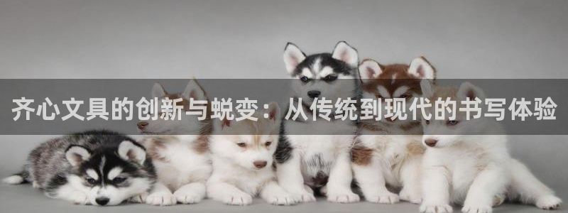 彩名堂使用方法和用量：齐心文具的创新与蜕