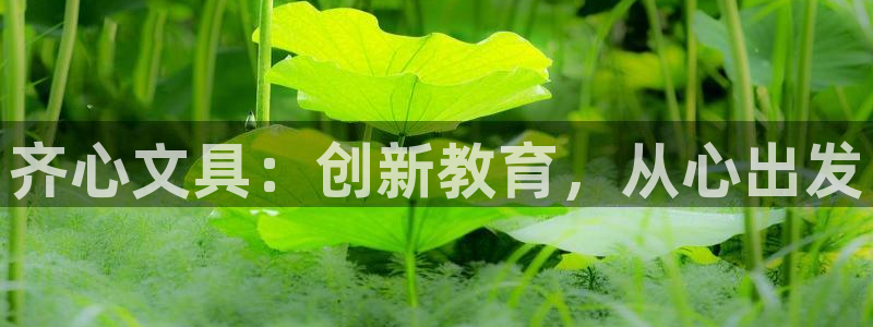 彩名堂旧版本：齐心文具：创新教育，从心出