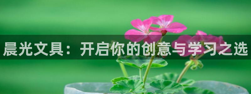 下载彩名堂预测计划软件安装：晨光文具：开