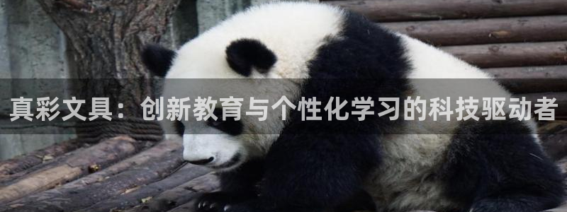 彩名堂手机版官网：真彩文具：创新教育与个