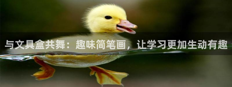 正规彩名堂官网计划01：与文具盒共舞：趣