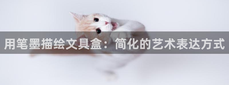 彩名堂移动客户端：用笔墨描绘文具盒：简化