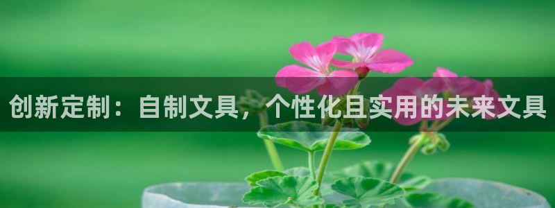 彩名堂计划app安卓免费下载：创新定制：