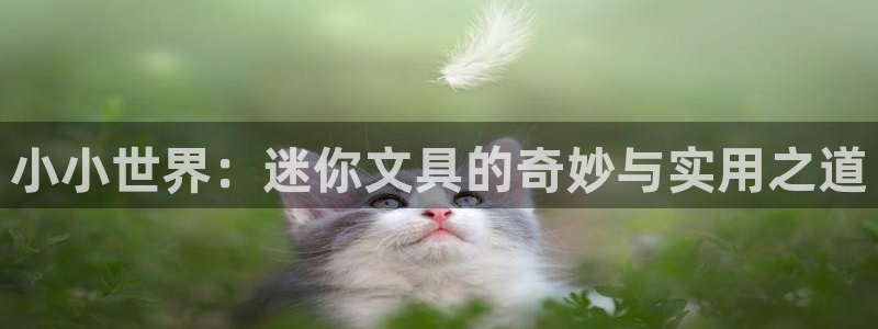 彩名堂移动客户端是什么：小小世界：迷你文